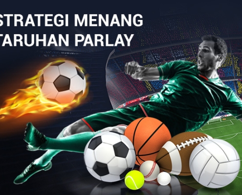 Strategi Memenangkan Taruhan Olahraga Campuran Strategi Memenangkan Taruhan Olahraga Campuran 3