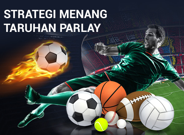 Strategi Memenangkan Taruhan Olahraga Campuran Strategi Memenangkan Taruhan Olahraga Campuran 9